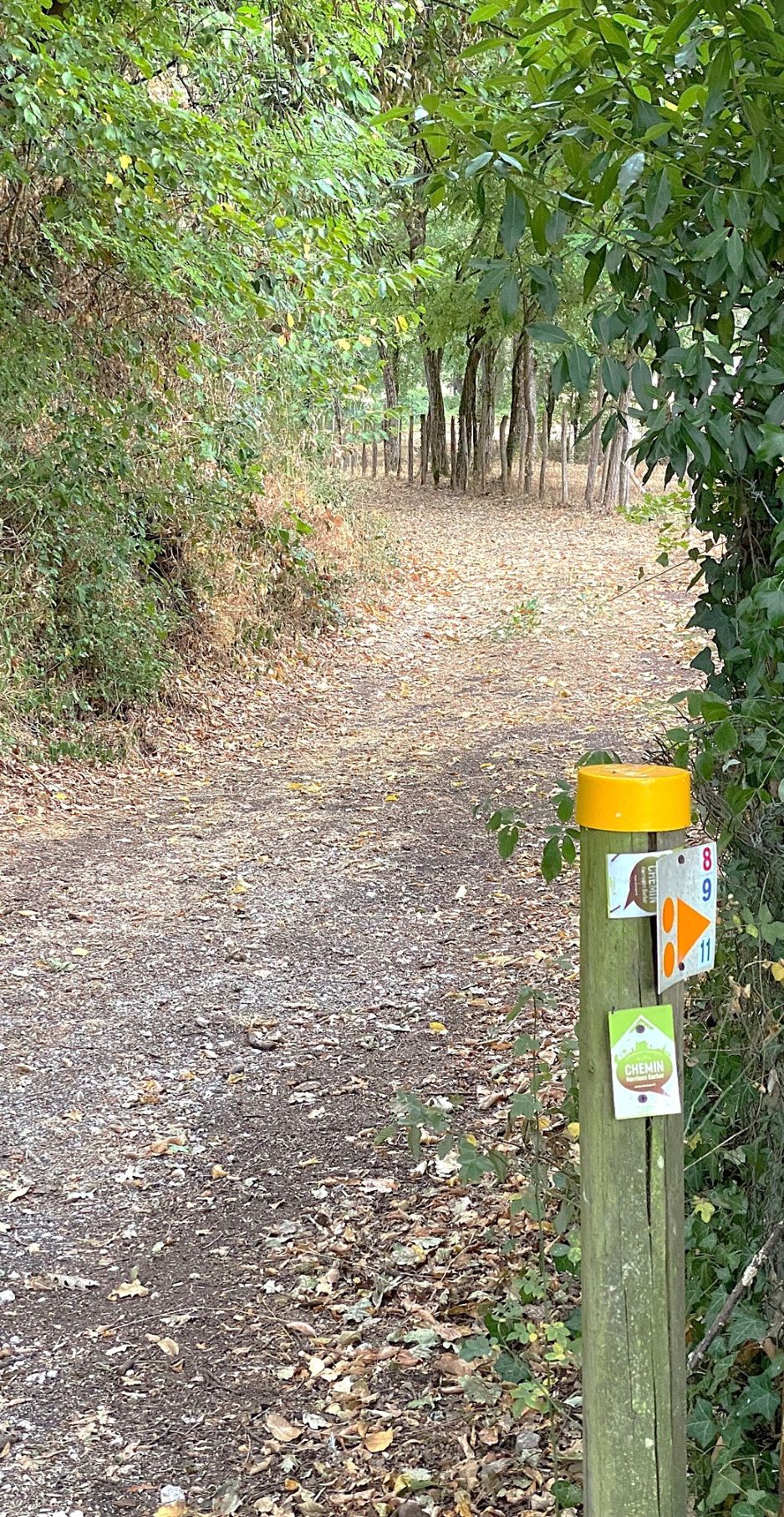 Boucle de Riberac - Faye