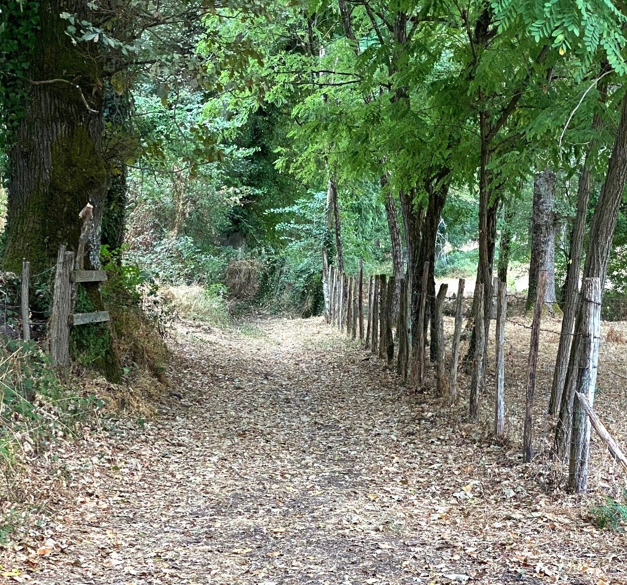 Boucle de Riberac - Faye - photo 2