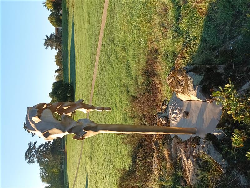 Ricochets, oeuvres artistiques