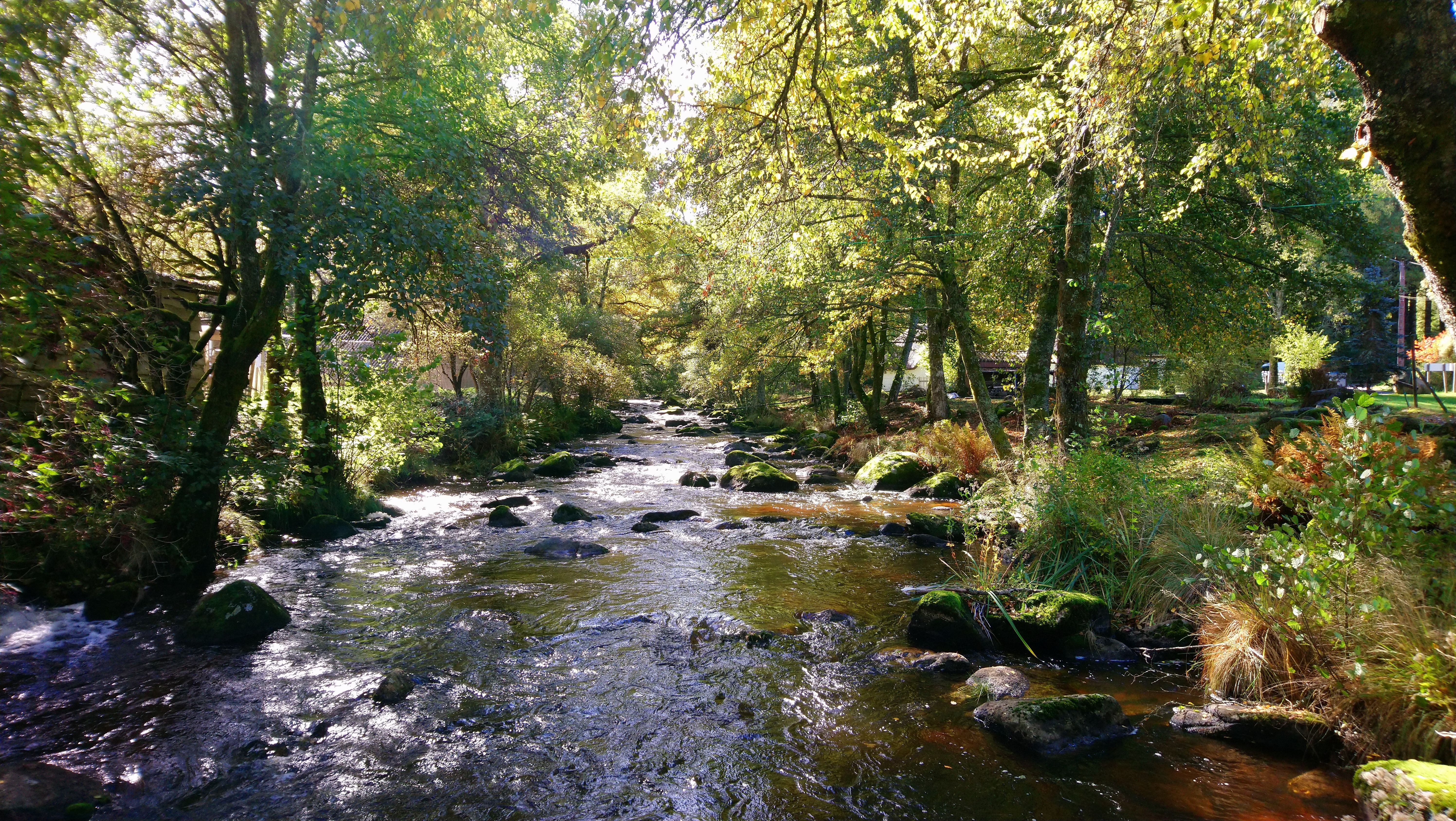 Les Truites de la Vézère