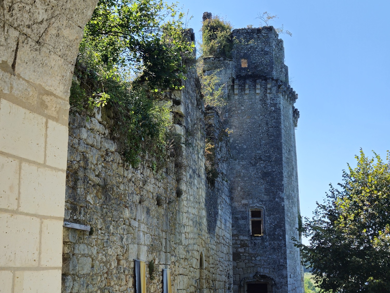 Visite du Château de Bruzac, Saint-Pierre-de-Côle - photo 3