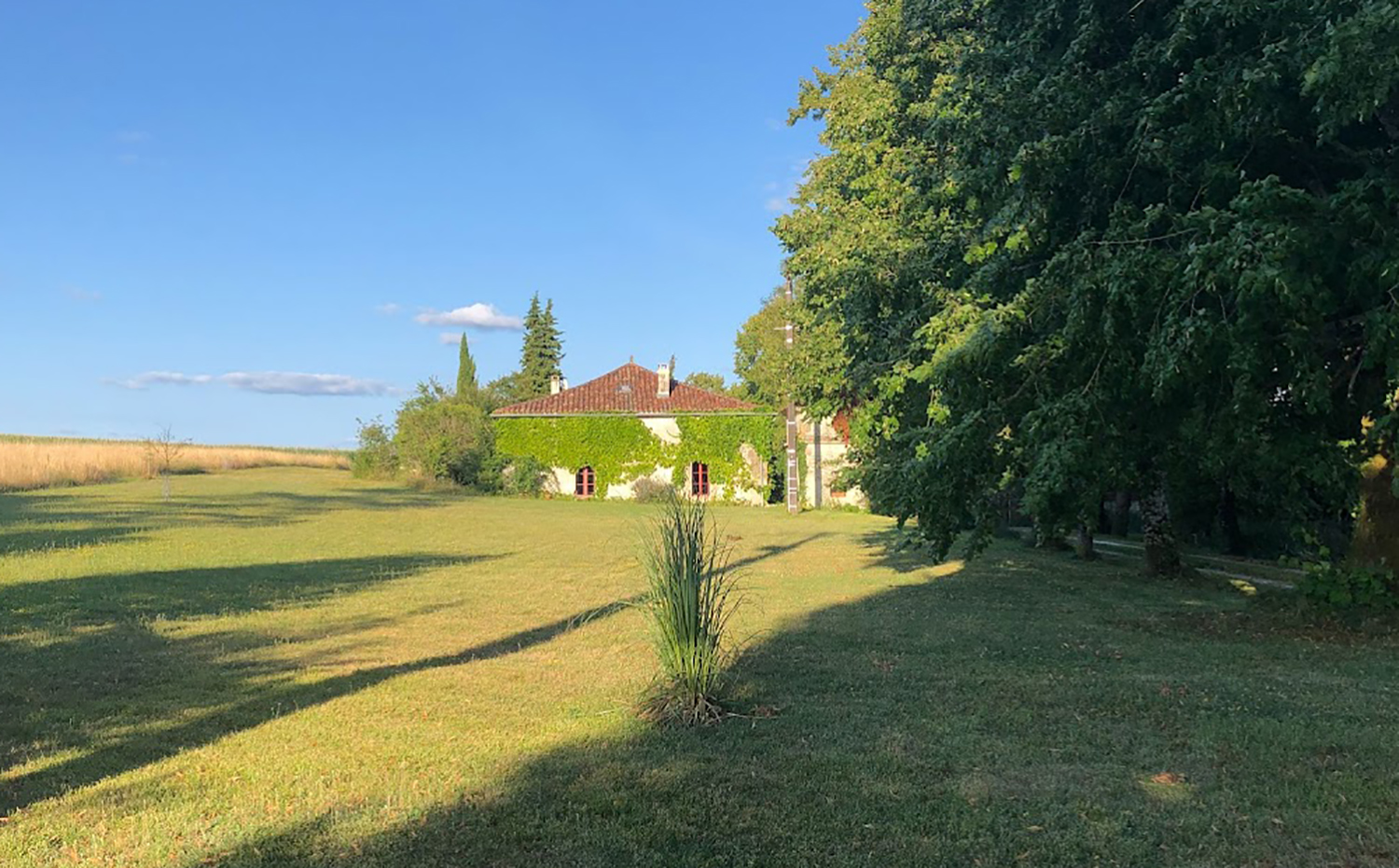 Gîte de L'Edelinie - photo 4