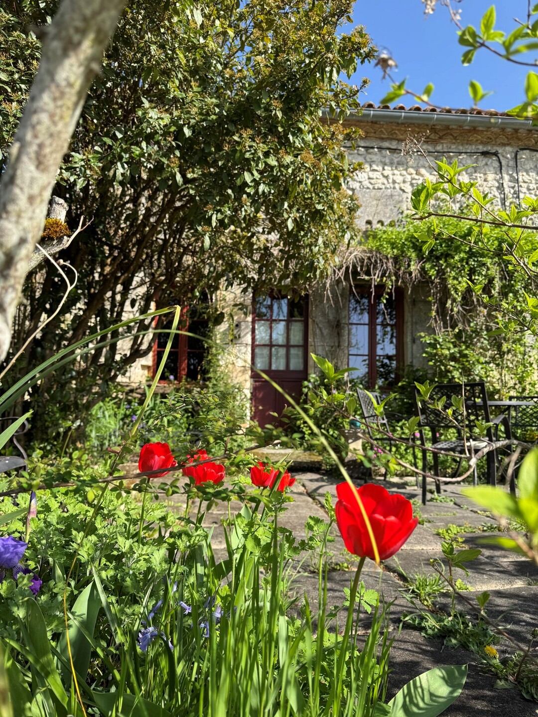 Gîte de L'Edelinie, Nanteuil-Auriac-de-Bourzac - photo 16