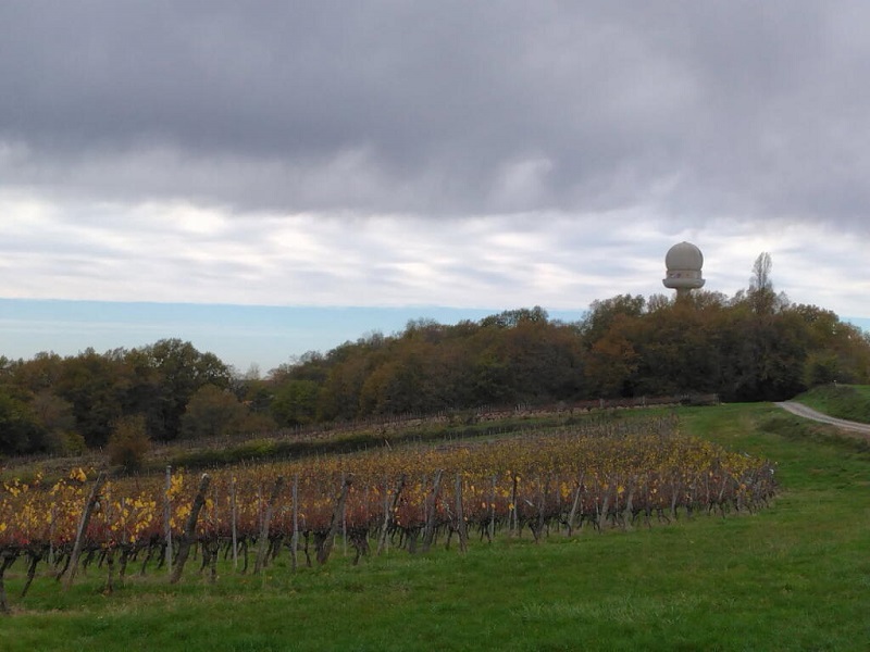 Lestiac-sur-Garonne, entre coteaux et forêt - photo 4