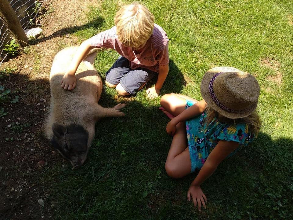 Camping Ramonjavel, Fongrave - photo 11