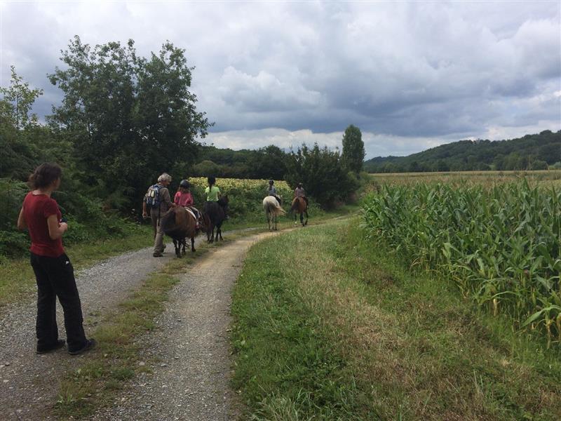 Ranch Tagada