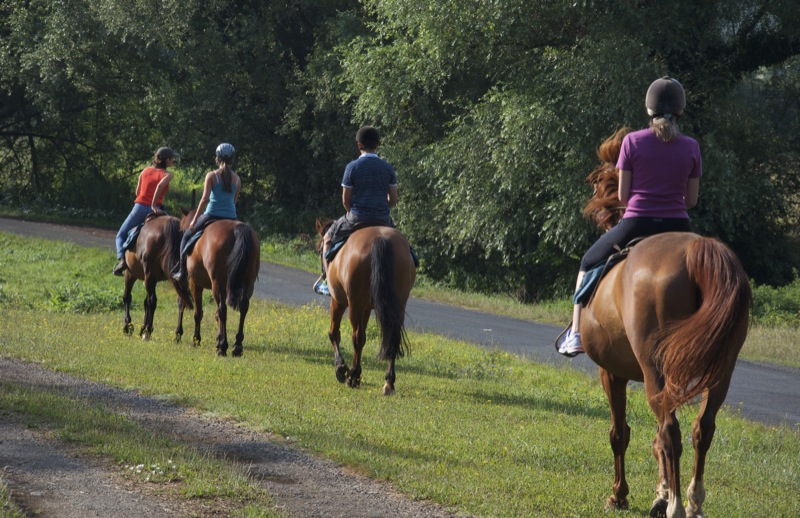 Ranch de Chadenac, Chauffour-sur-Vell - photo 5