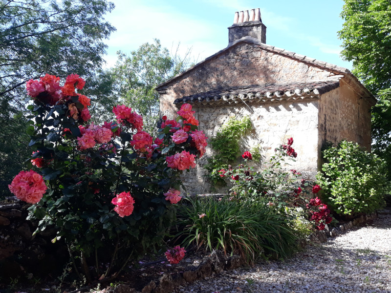 Gavaudun, promenons-nous dans les bois…