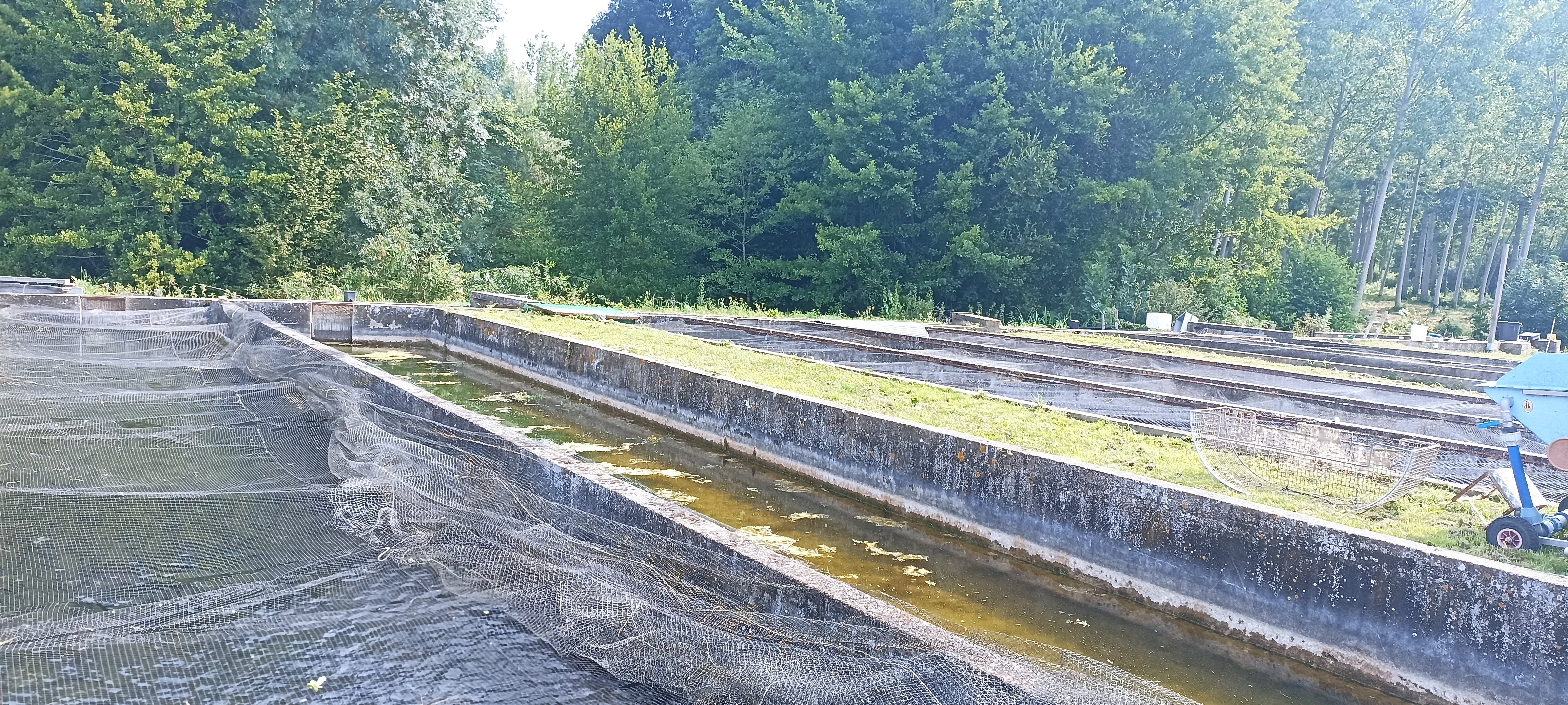 Pisciculture de Cerzay