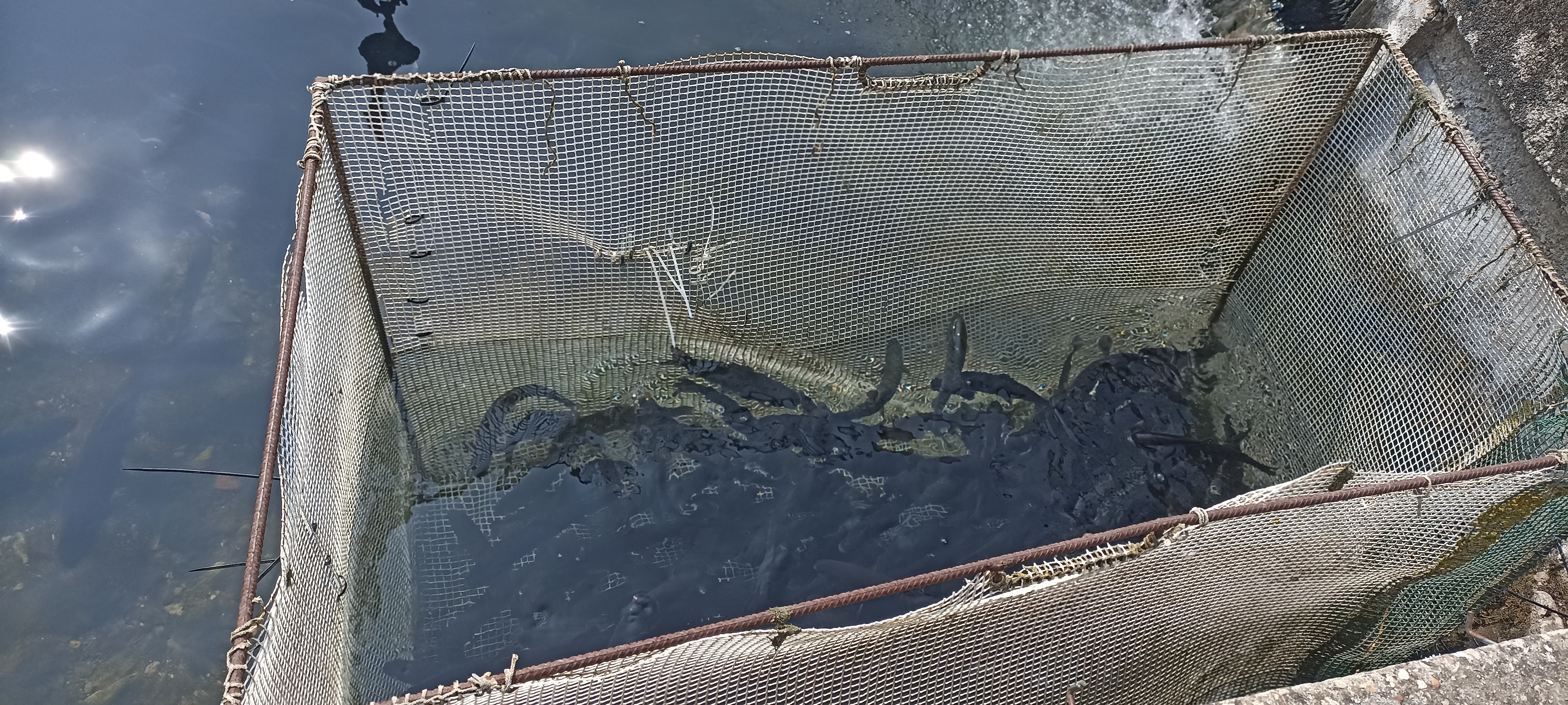 Pisciculture de Cerzay — photo 3