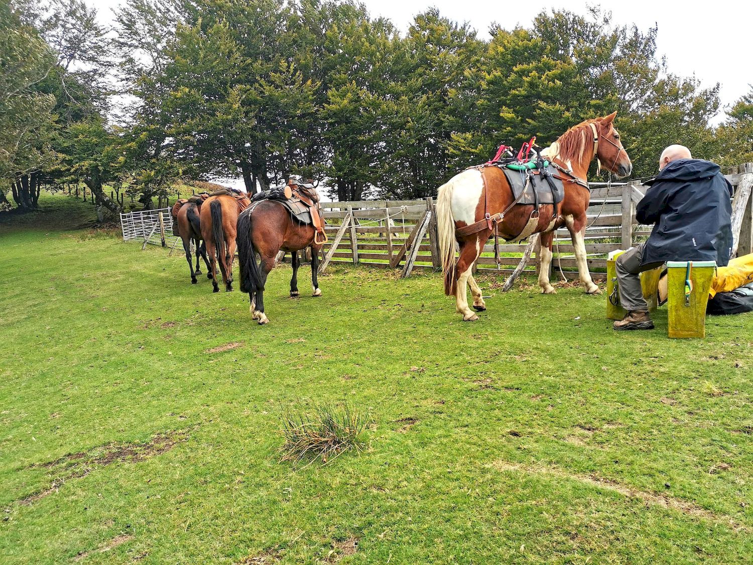 Le sentier des contrebandiers - De Col d'Ehorrieta à St - Martin d'Arossa - équestre