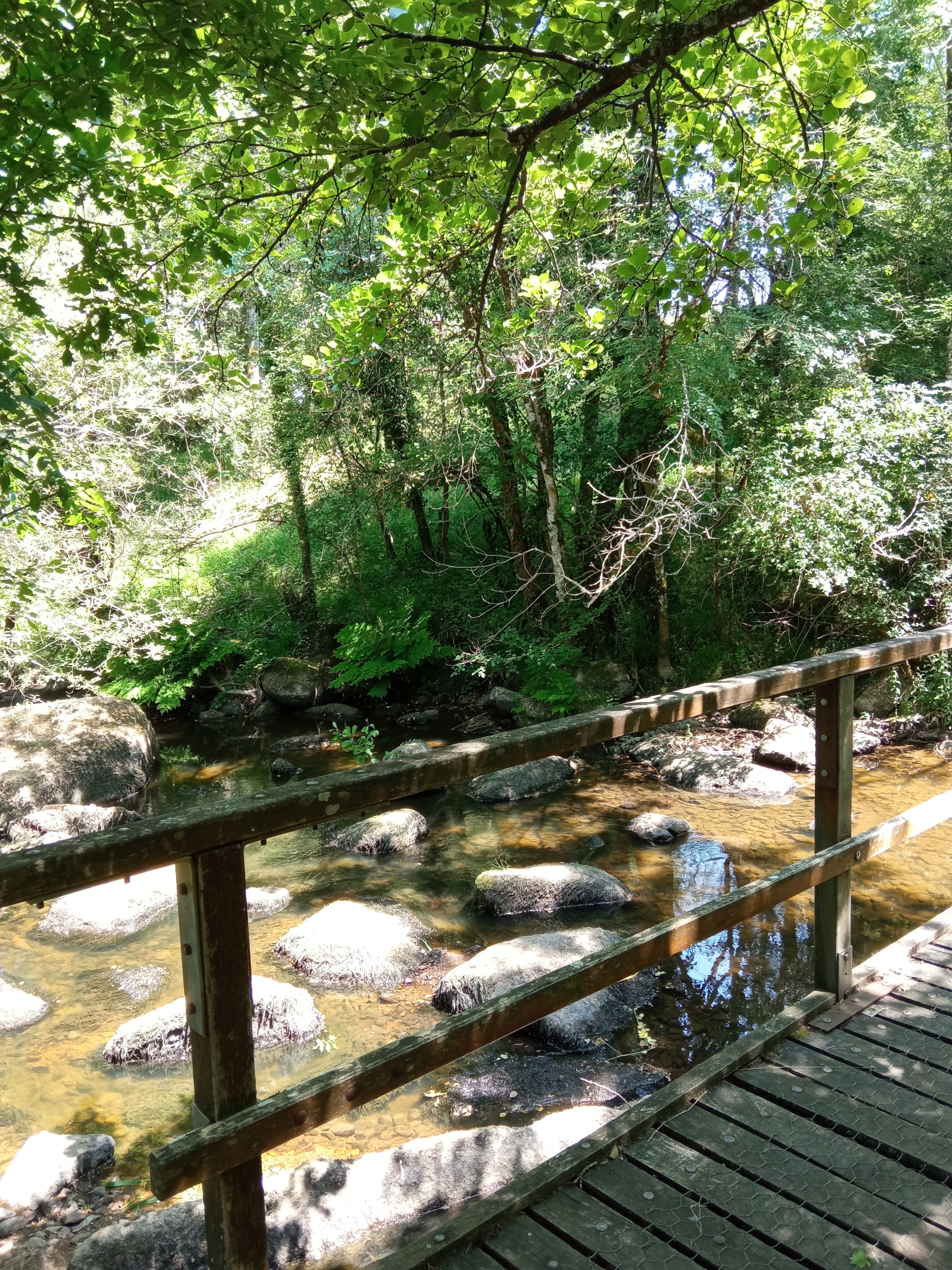 Randonnée nature, à la découverte d'un sentier de Gâtine, Ménigoute