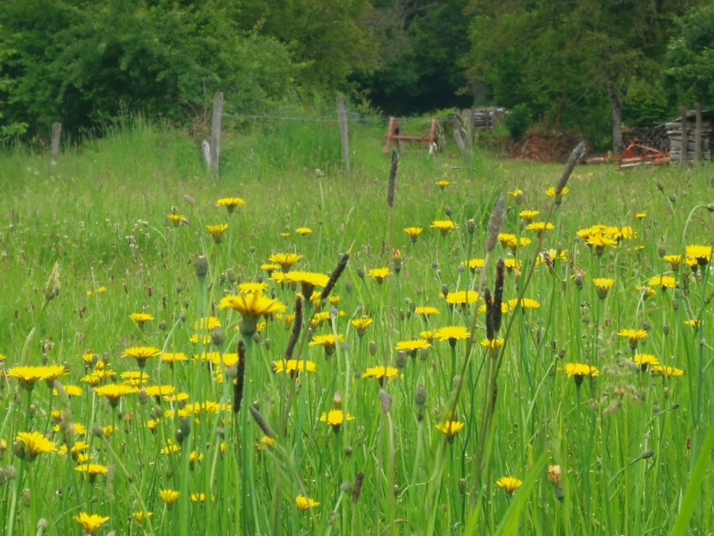 Circuit pédestre N°20 CC : "Masgot, jardin de terre et de pierres", Fransèches