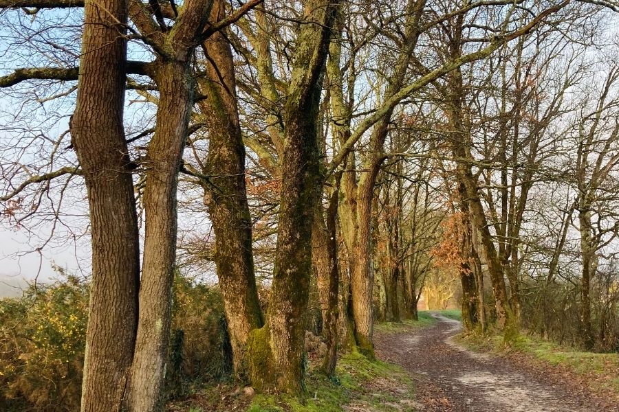 Boucle de Jolibois - photo 4