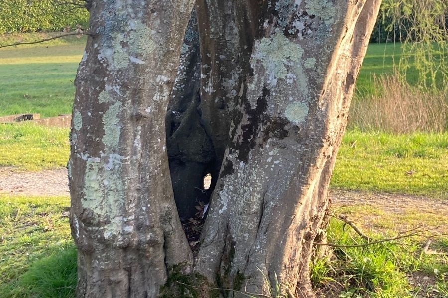 Boucle de Jolibois - photo 3