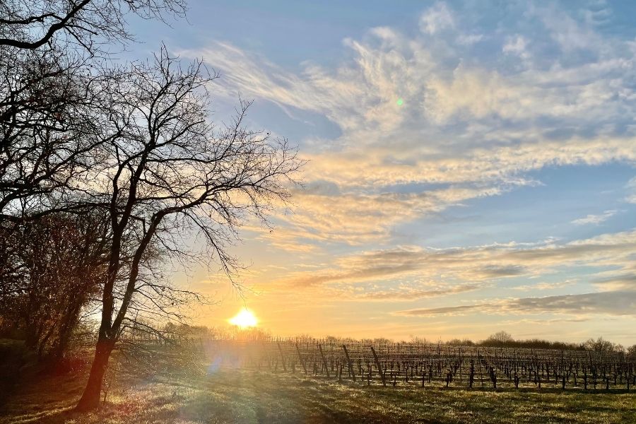 Boucle de l'ancienne cure - photo 3