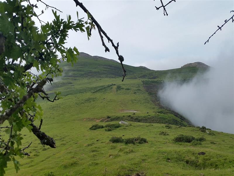 Randonnée acccompagnée Mendi Gaiak : rencontre avec un (e) berger (ère)    