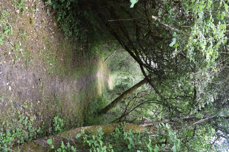 Espace naturel sensible de la Côte-Belet, Pamproux