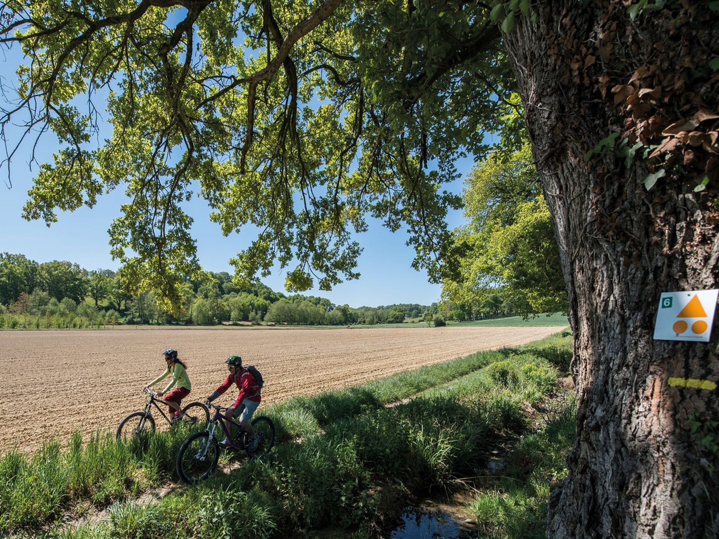 Garlin : la randonnée des Pacheras à VTT, Garlin - photo 3