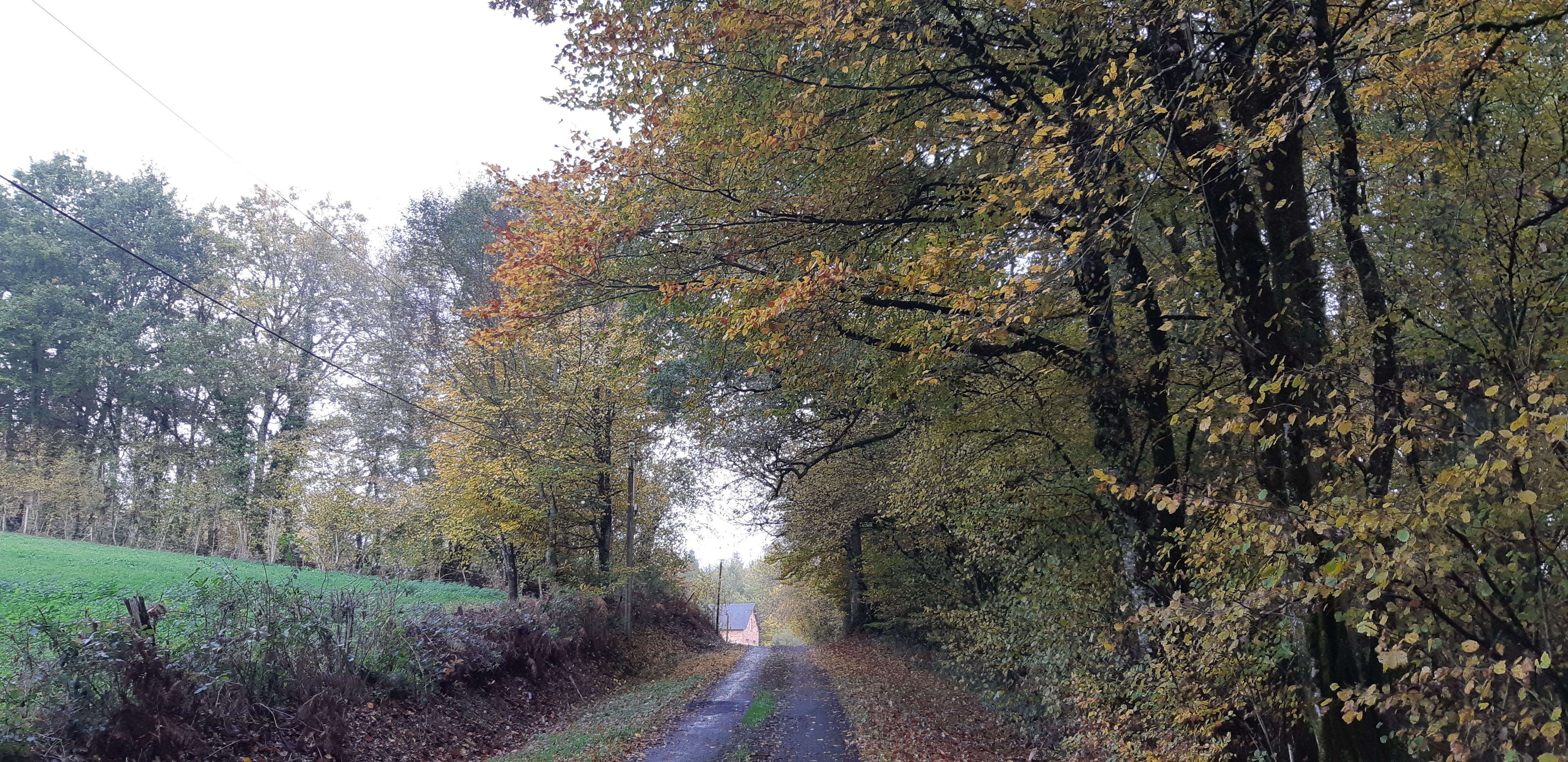 Du Ganaveix au Bradascou, Condat-sur-Ganaveix
