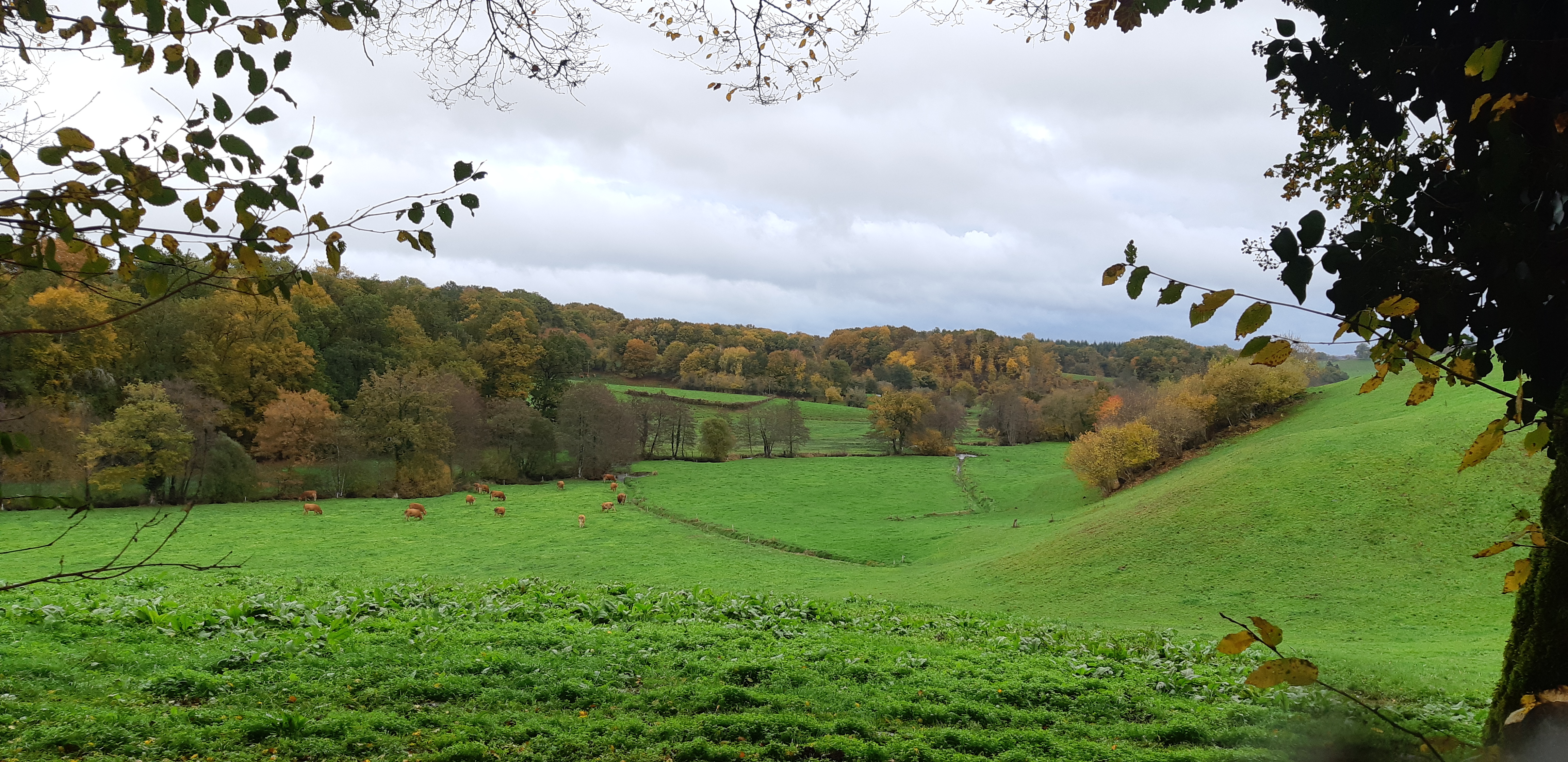 Du Ganaveix au Bradascou, Condat-sur-Ganaveix - photo 3