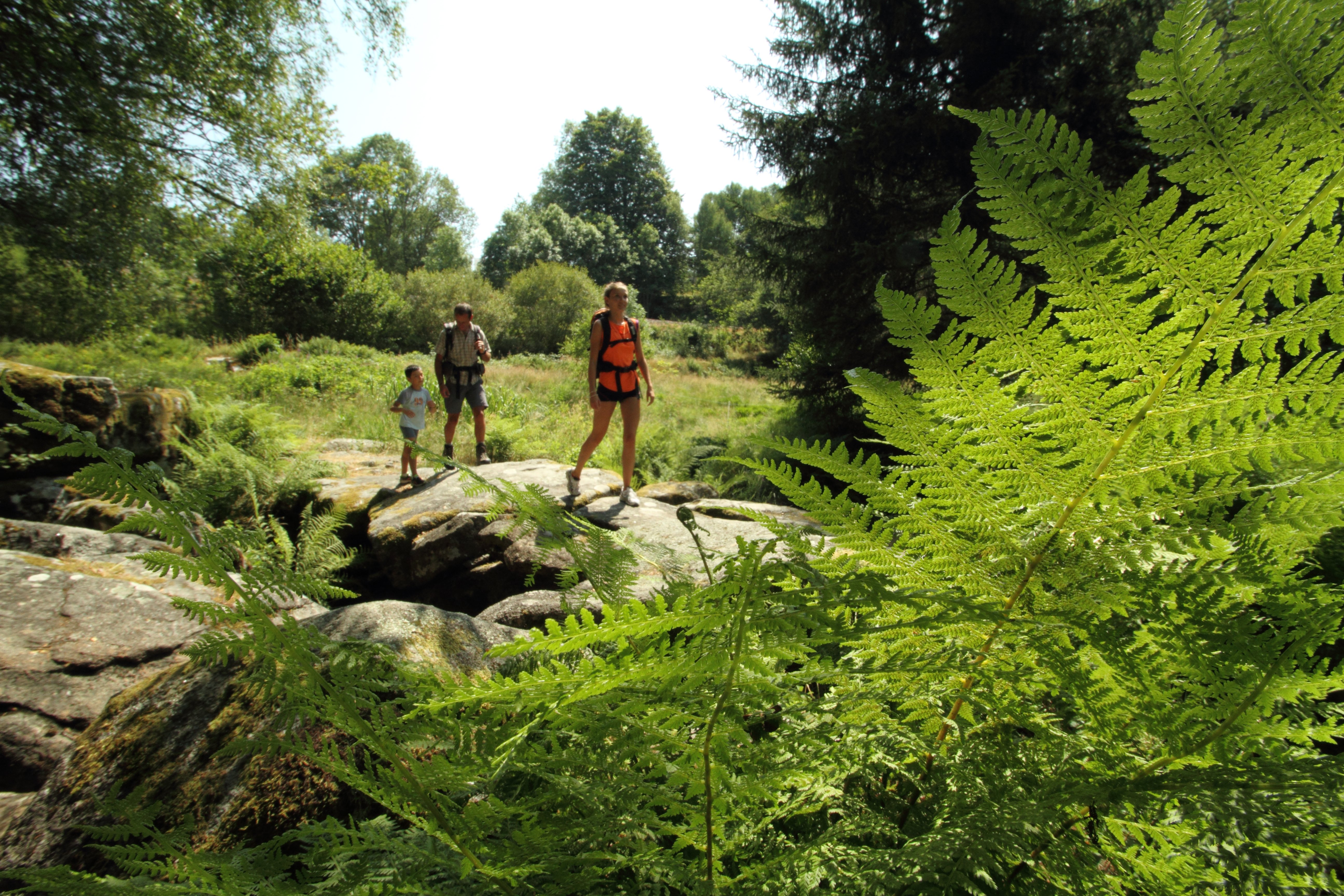 GR® 440 "Grand tour de la montagne Limousine", La Villedieu