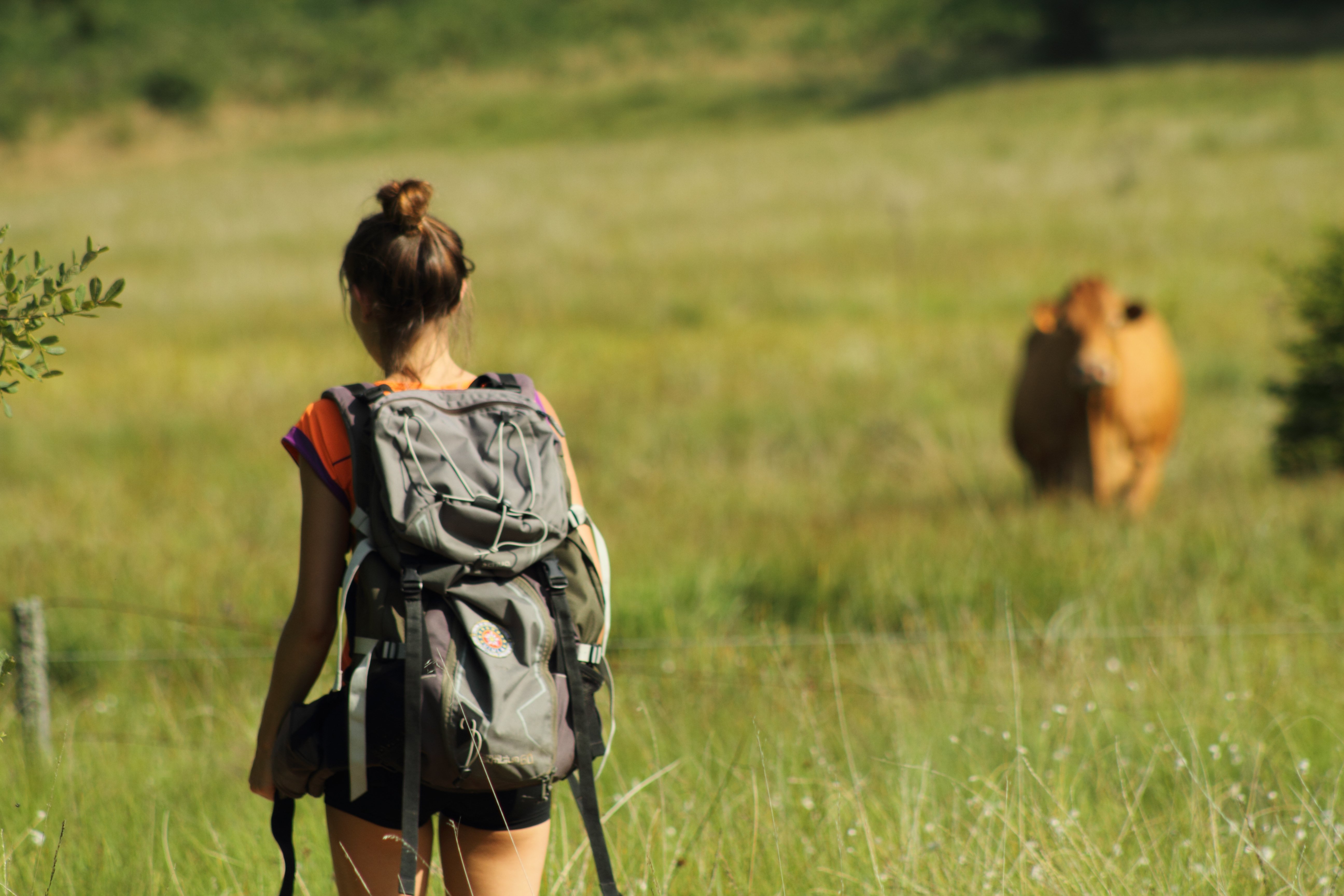 GR® 440 "Grand tour de la montagne Limousine", La Villedieu - photo 2