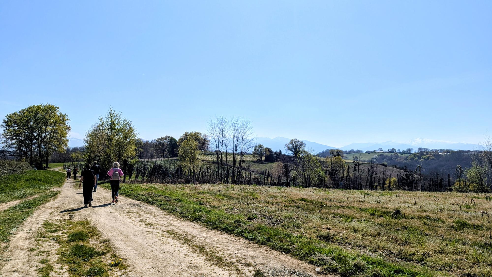 Entre bois et panorama, Monein - photo 11