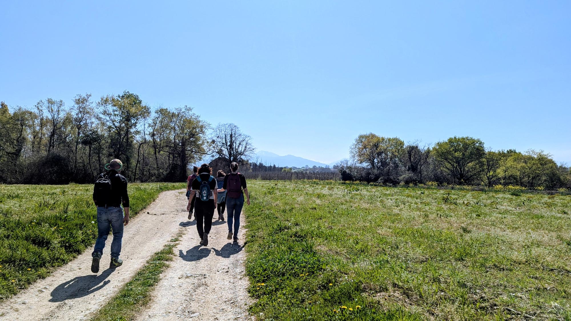 Entre bois et panorama, Monein - photo 12