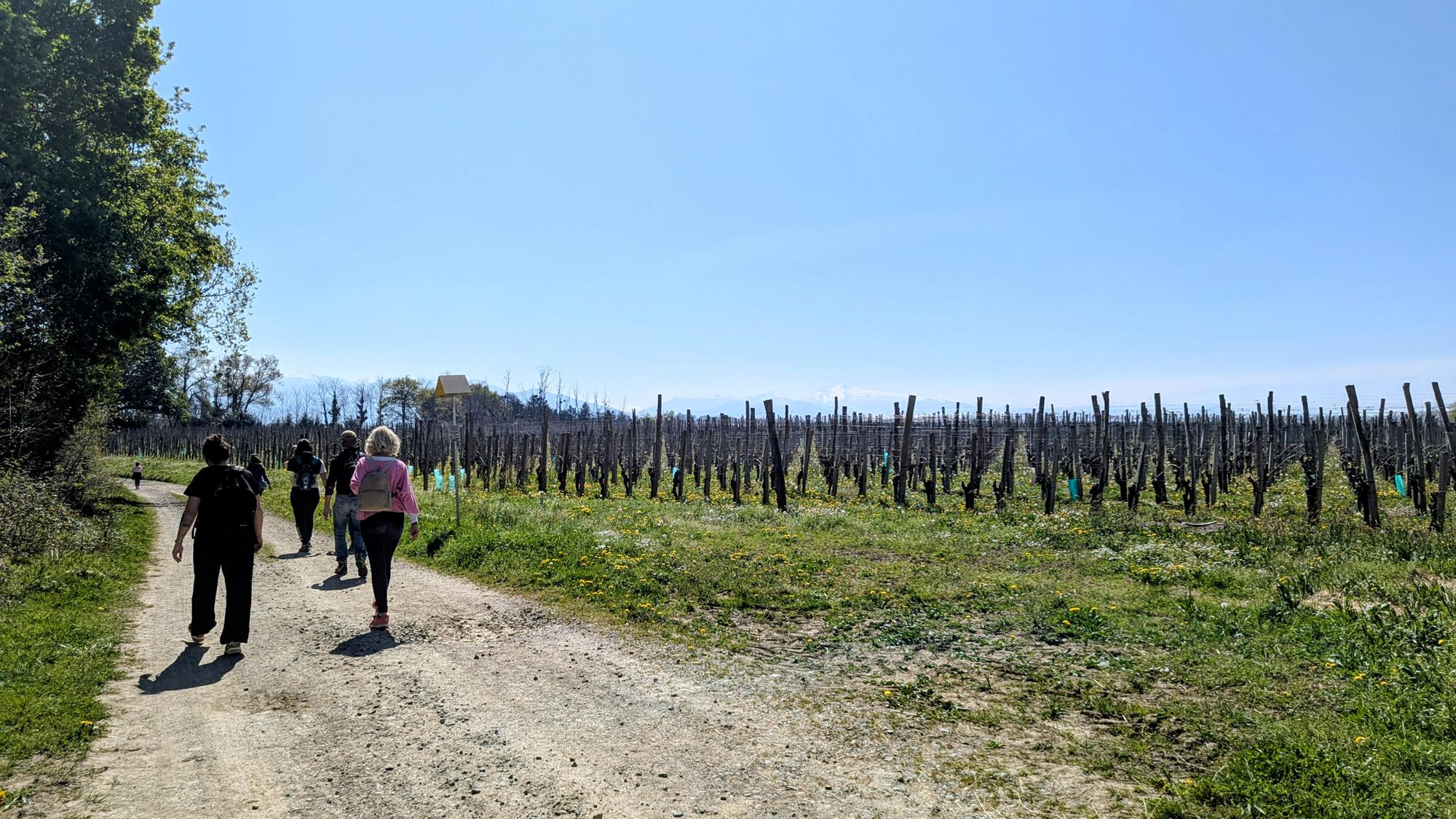 Entre bois et panorama, Monein
