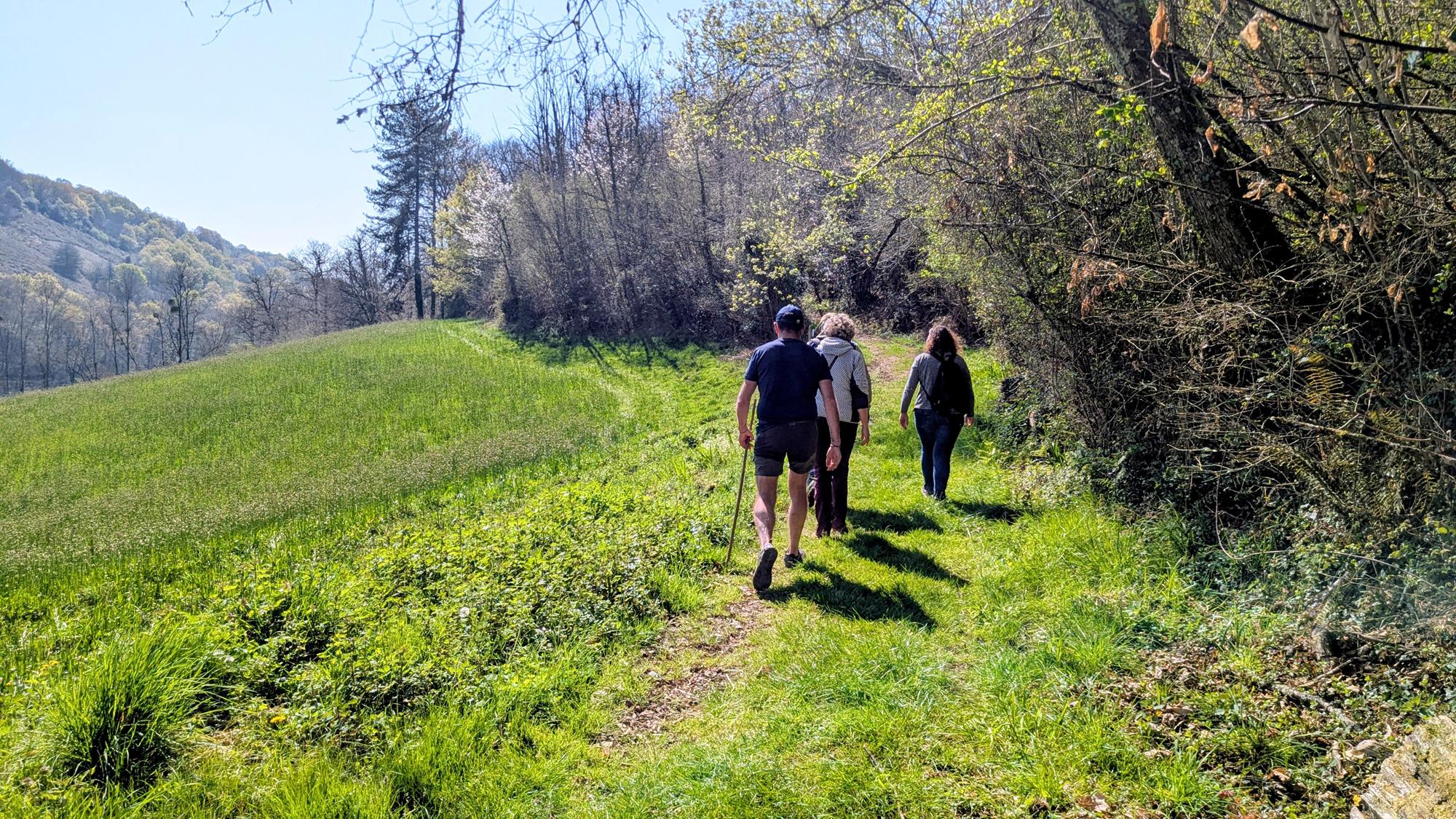 Entre bois et panorama, Monein - photo 6