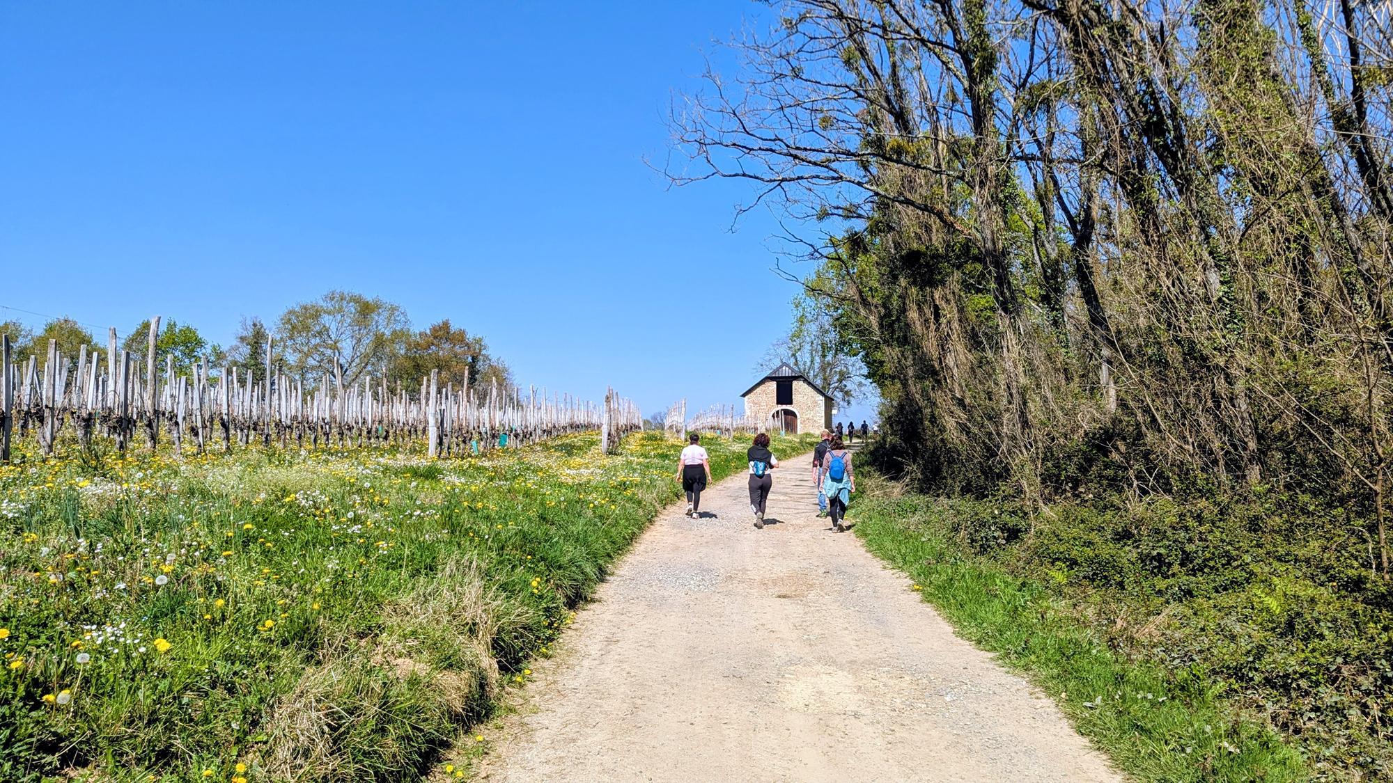 Entre bois et panorama, Monein - photo 2