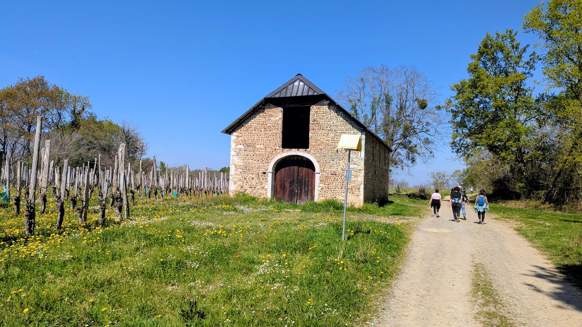 Entre bois et panorama, Monein - photo 9