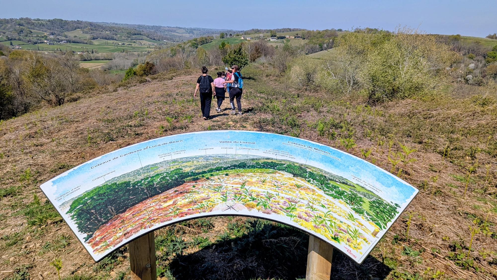 Entre bois et panorama, Monein - photo 4