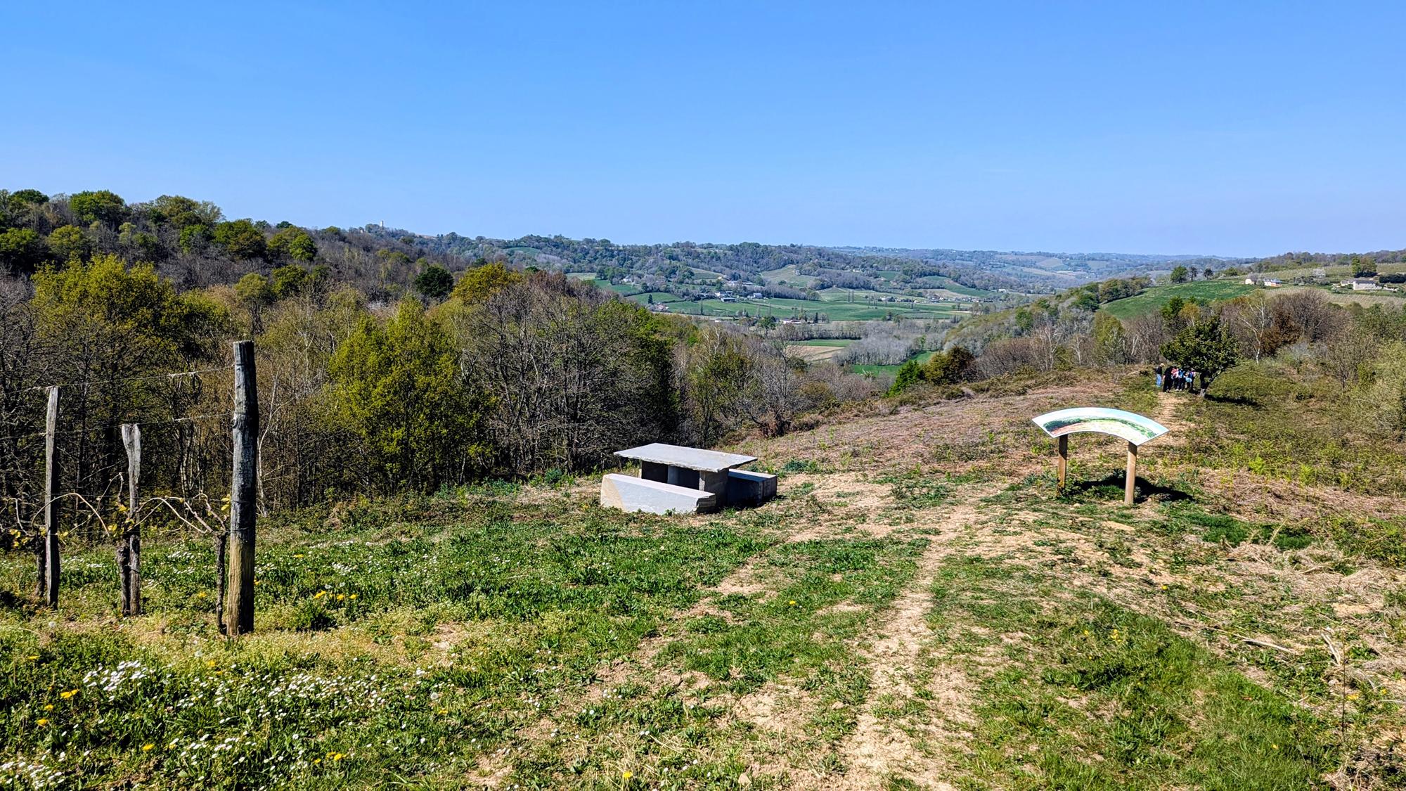 Entre bois et panorama, Monein - photo 8