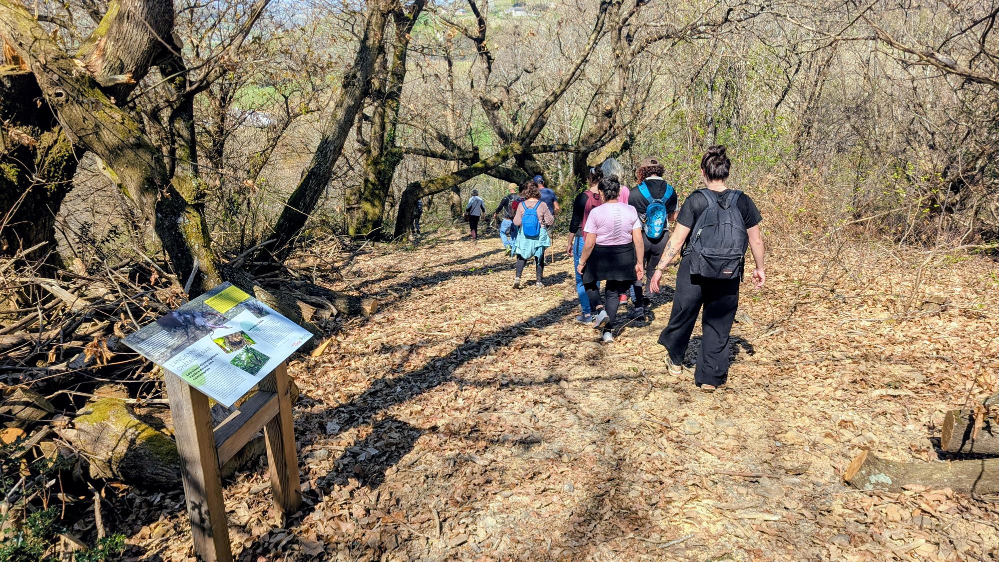 Entre bois et panorama, Monein - photo 10