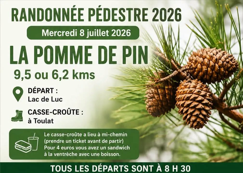 Randonnée pédestre : Sentier de la pomme de pin