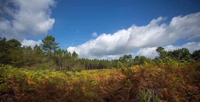 Boucle de la Collégiale d'Uzeste - photo 3