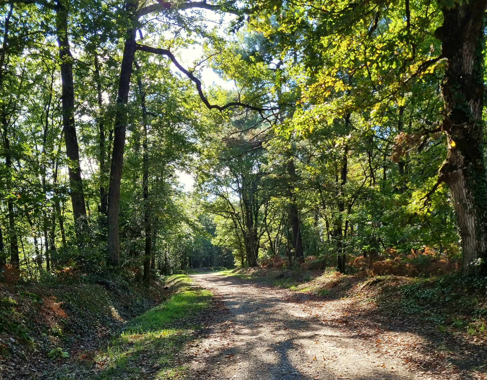 Camping Les Petites Minaudières, Senillé-Saint-Sauveur - photo 13