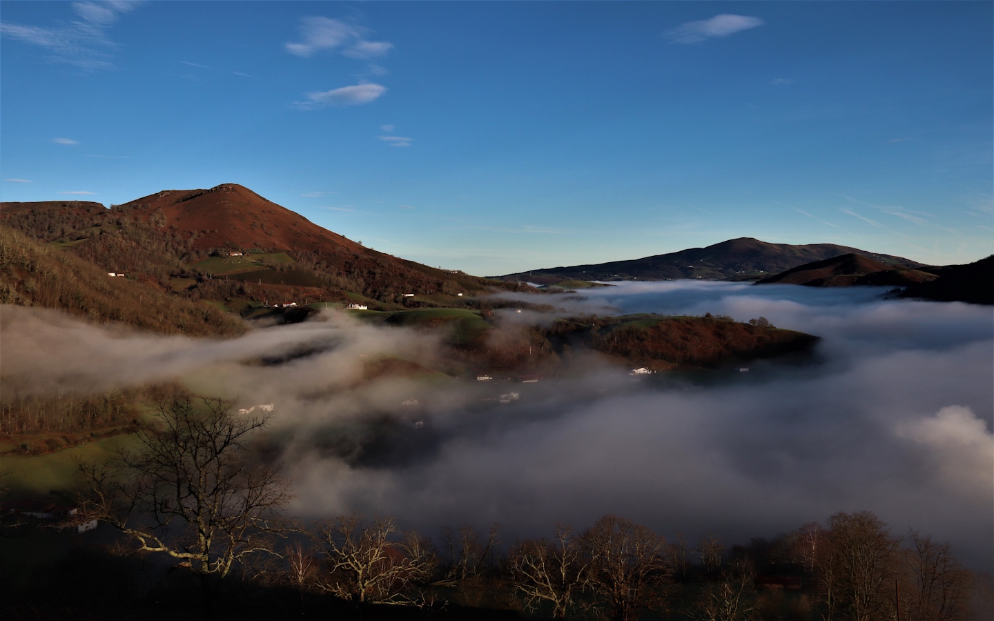 Syndicat local Ramondia