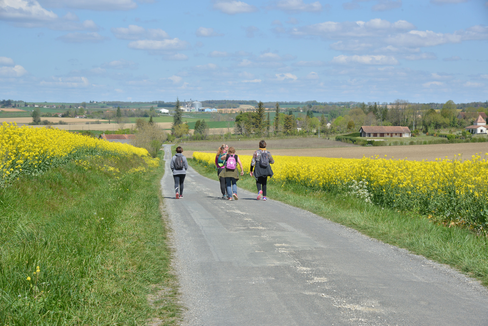 Chemins de Terre d'Harrisson Barker en Val de Dronne - photo 2