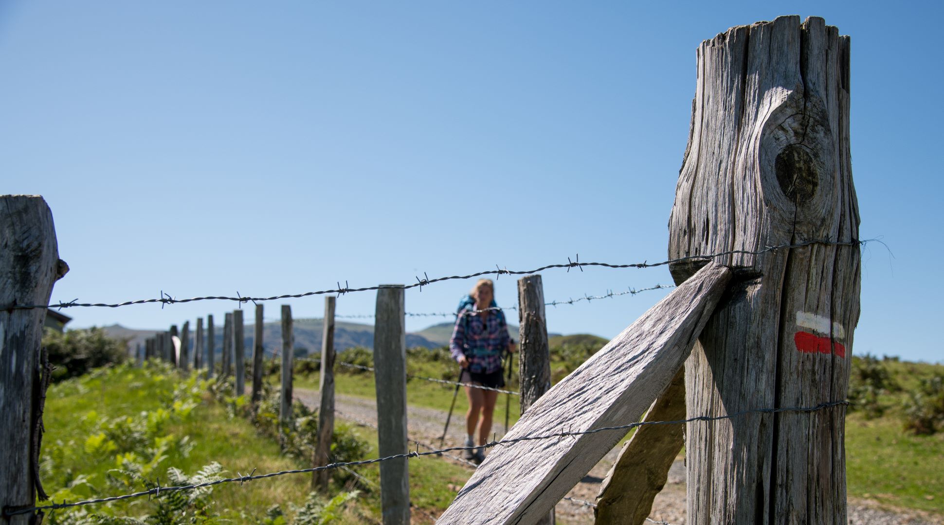 De Esterençuby au col de Bagargiak, Estérençuby - photo 2