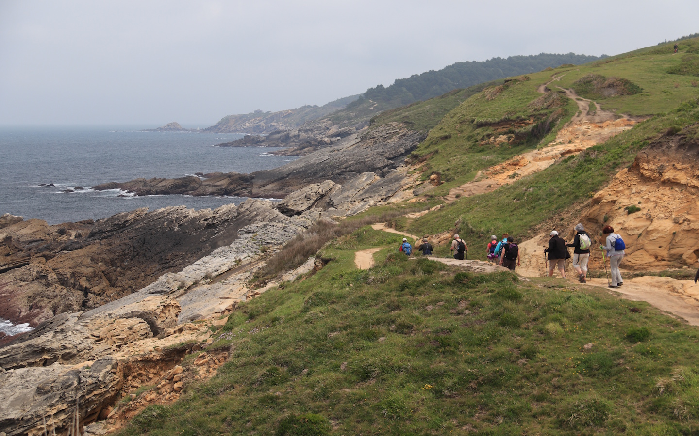 Syndicat local Ramondia - photo 4