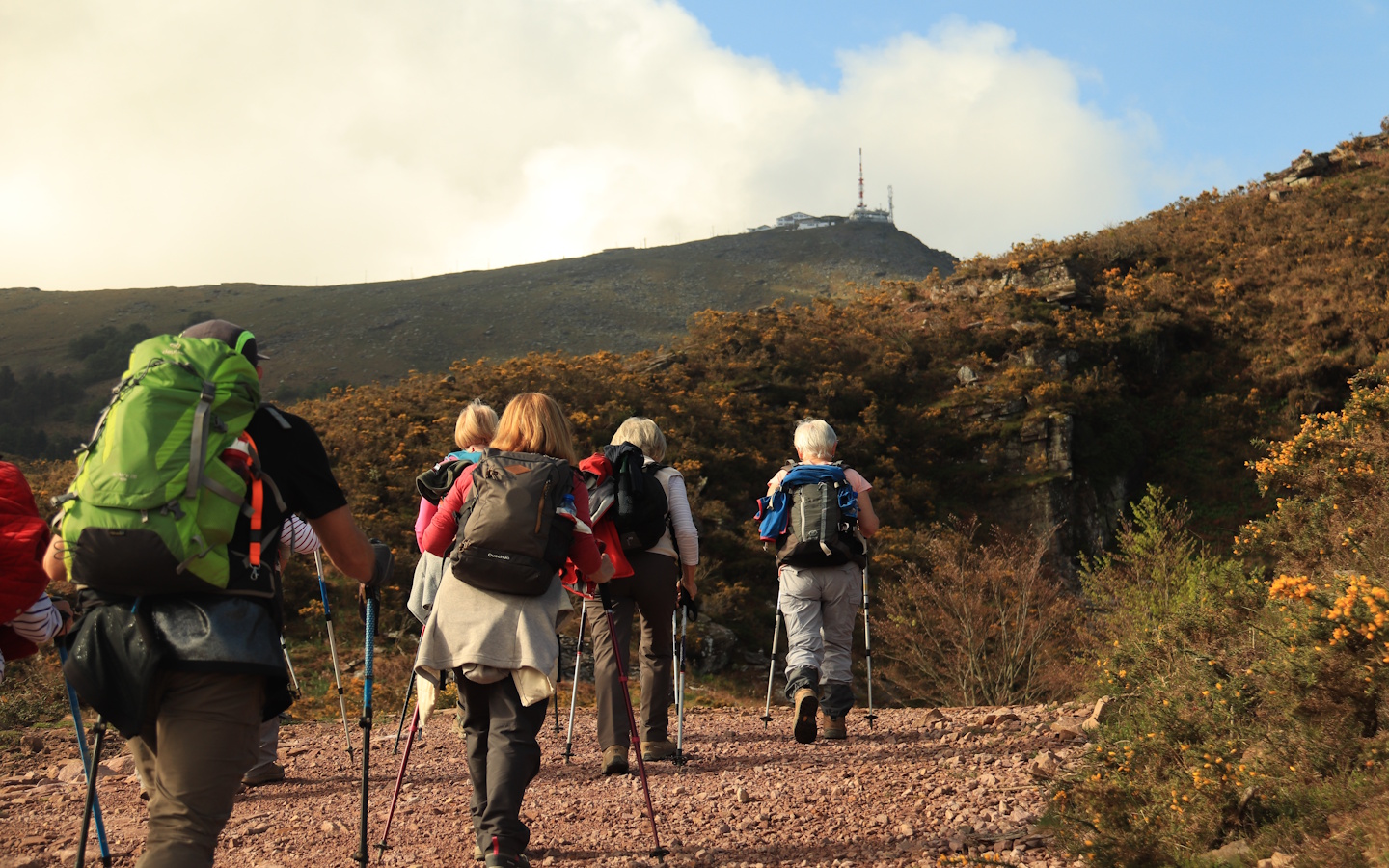 Syndicat local Ramondia - photo 3