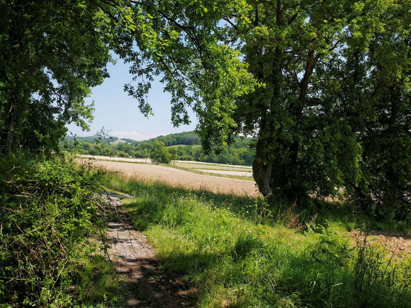 Montardon : les Marlères à VTT - photo 2