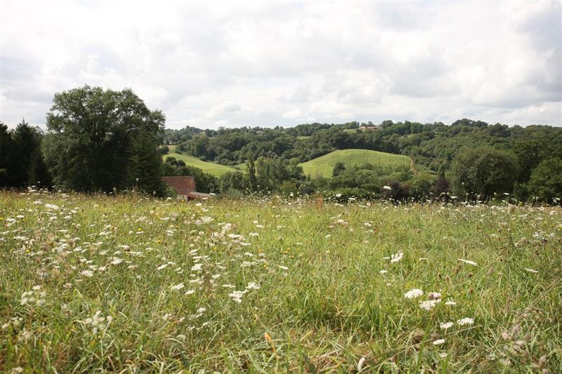 Navailles-Angos : dans le vallon de Navailles