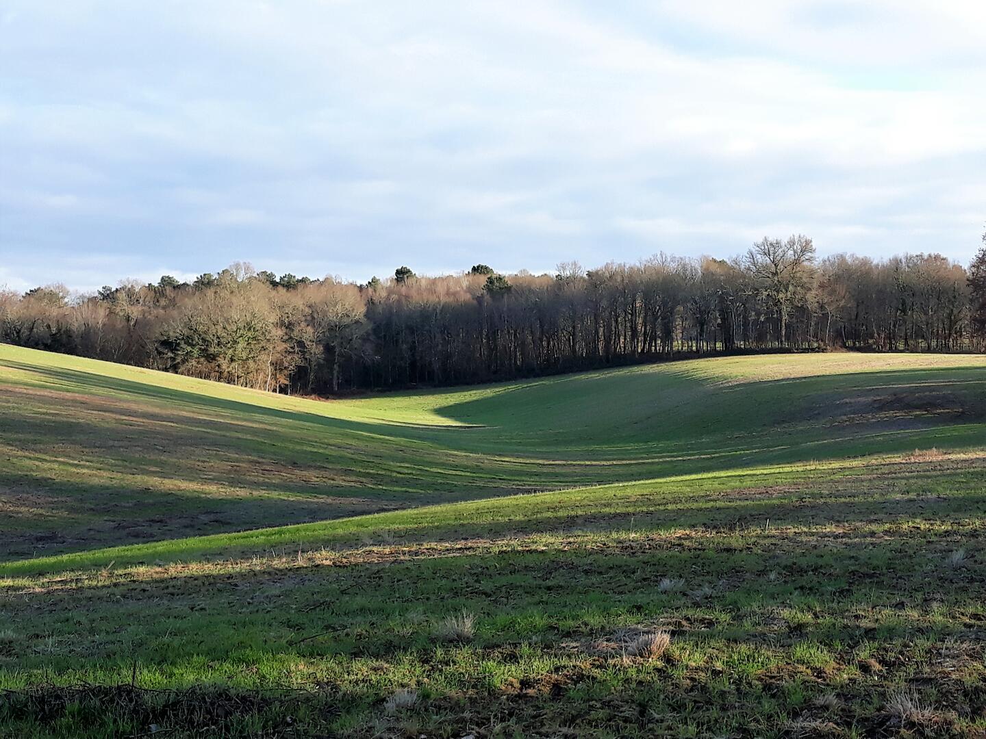 Balade de la biodiversité : Boucle de l'Herm n° 34 /Rouffignac - photo 3