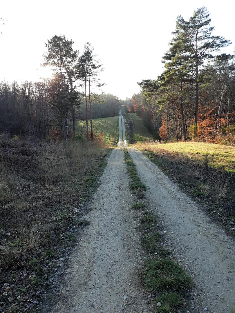 Balade de la biodiversité : Boucle de l'Herm n° 34 /Rouffignac