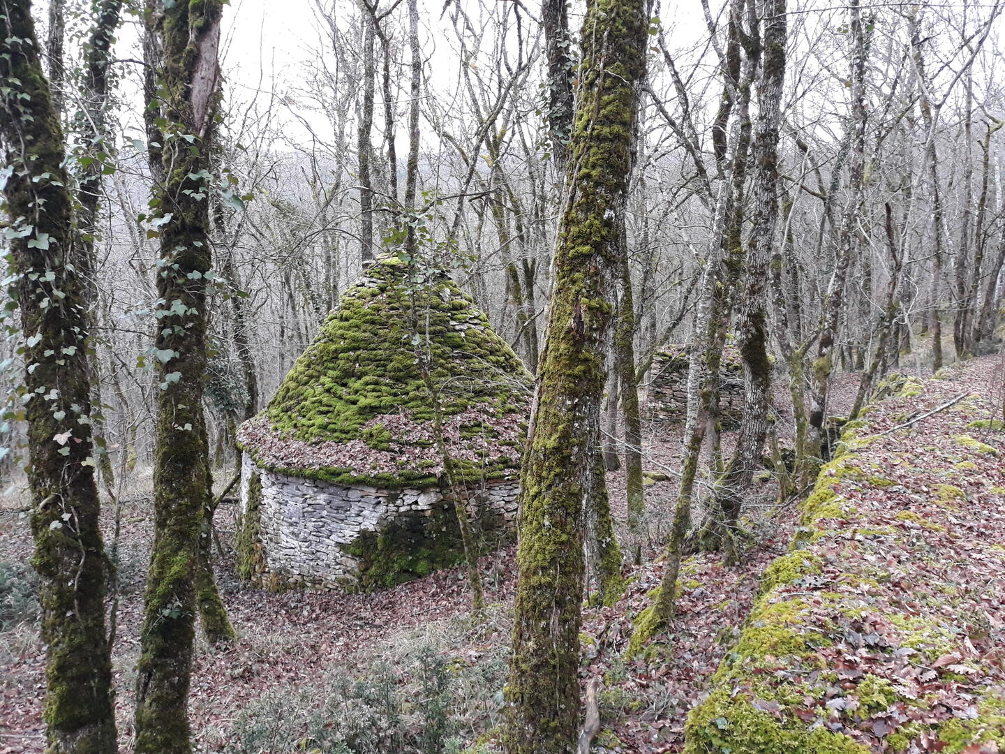 Boucle des Cabanes n °9 / Sergeac, Sergeac - photo 2