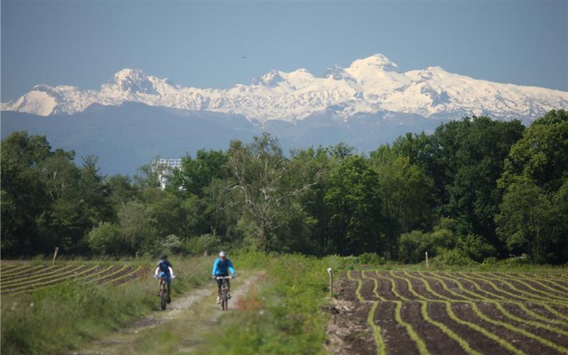 Sauvagnon : dans la plaine du pont long à VTT
